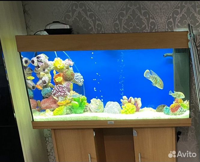 Аквариум
