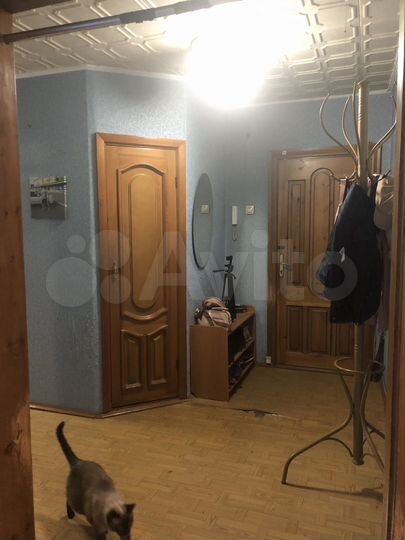 2-к. квартира, 51,3 м², 2/5 эт.