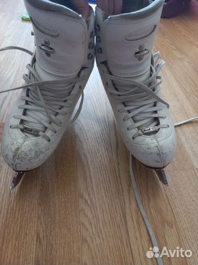 Фигурные коньки risport лезвие мк по стельке 22 см