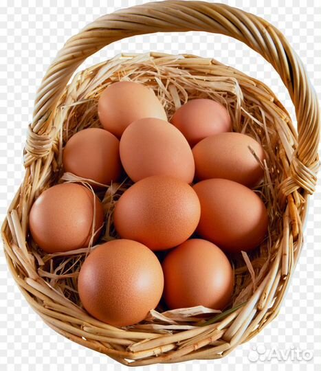 Домашние куриные яйца