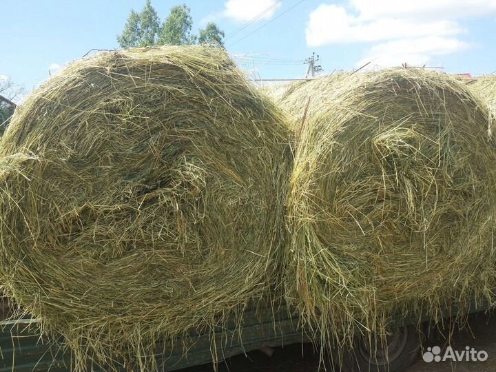 Сено