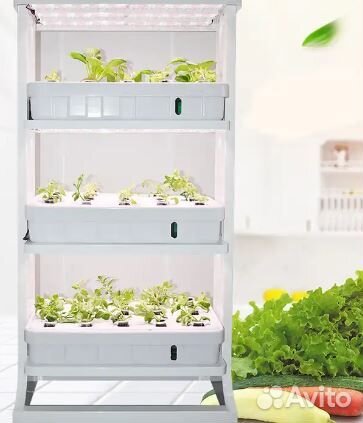 Фитолампа для микрозелени и зелени