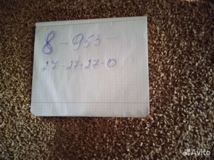 Индоутки линии Гриммо