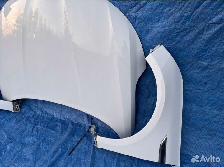 Renault Talisman ноускат pure led