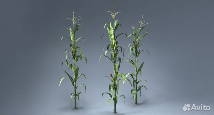 Репетитор по 3D моделированию