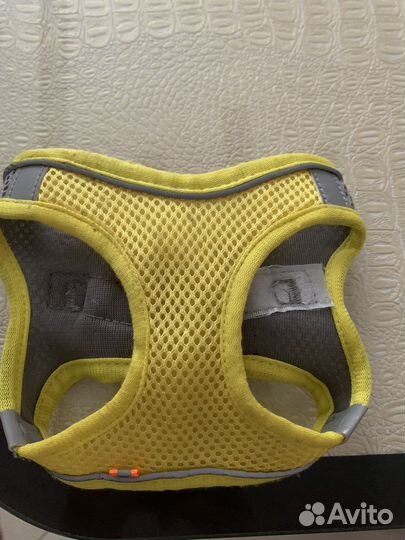 Шлейка для маленькой собаки