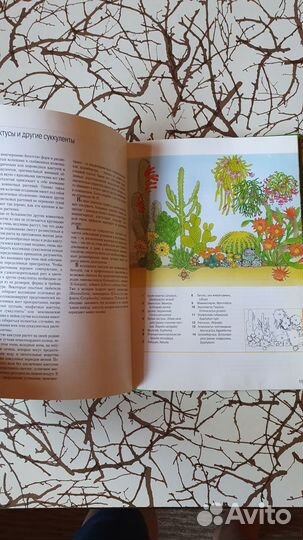 Книга Комнатные растения