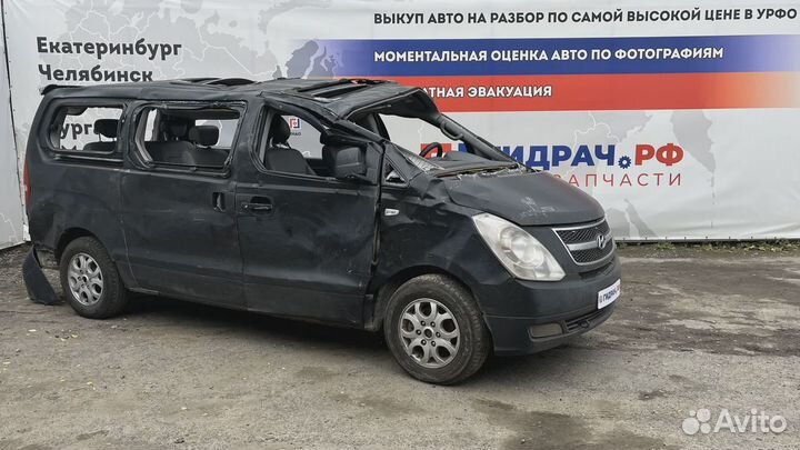 Накладка ступеньки передней правой Hyundai Grand Starex (TQ) 85872-4H050