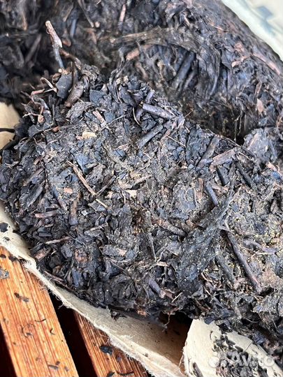 Китайский чай отпустить суету Хей ча 1991г