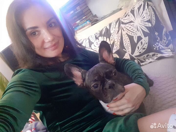 Передержка для собаки,кошки,других животных