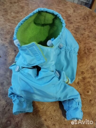 Дождевик для маленькой собаки