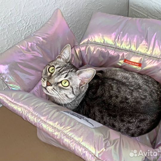 Коробка,которую не выбрасывают. Лежак для кошек