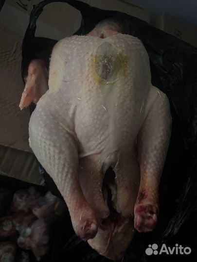 Индейка 5-6 кг