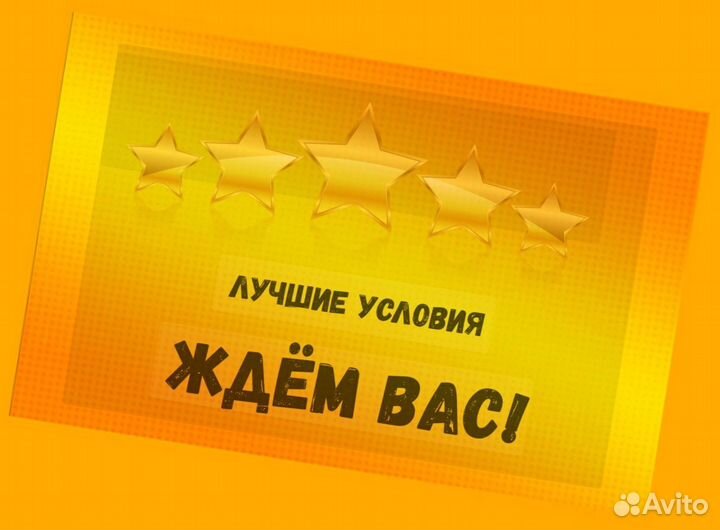 Комплектовщик Спецодежда Еженедельный аванс М/Ж