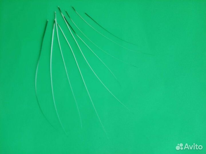 Кошачьи усы