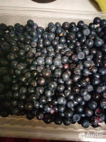 Компот ассорти