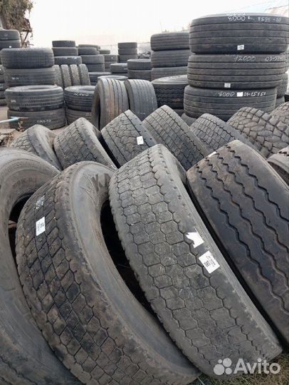 Gislaved NordFrost 100 205/55 R16