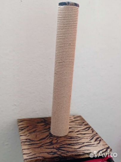 Когтеточка новая