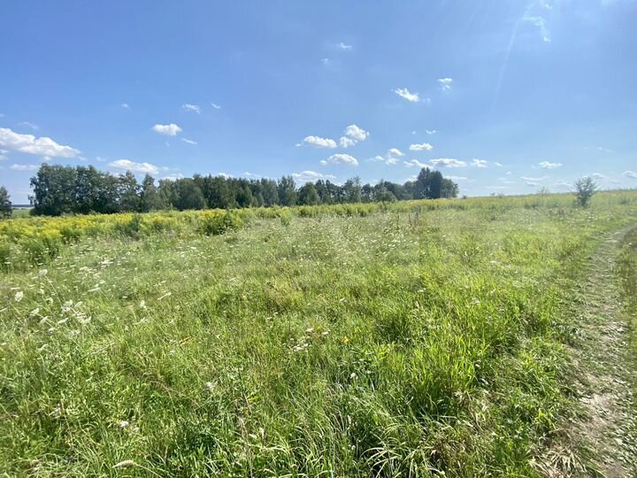 Участок 3,67 га (СНТ, ДНП)