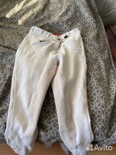 Бриджи для верховой езды