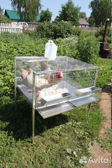 Клетка для кур до 16 голов на каркасе