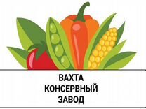 Укладчик продуктов консервирования Вахта