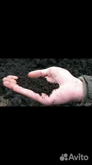 Перегной навоз чернозем (в мешках)