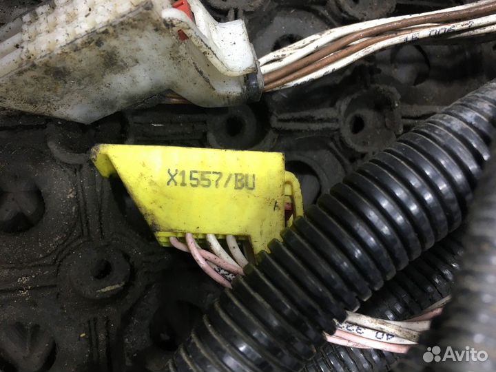 Электропроводка Man TGX