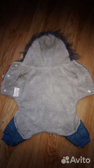 Одежда для маленьких собак