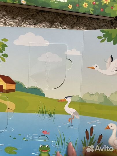 Детские книги с окошками