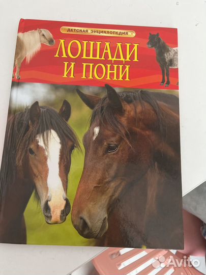 Книга про лошадей