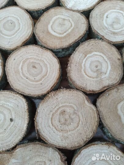 Спилы набор 100шт. разных размеров и пород дерева