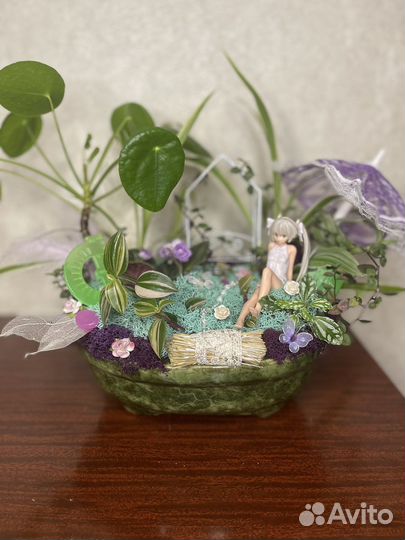 Флорариум - подарок - 1 сентября