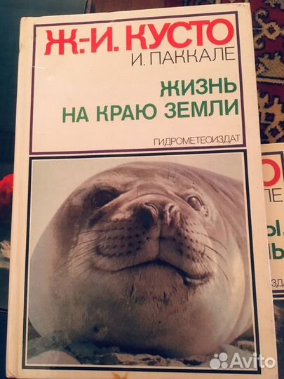 Ж-И Кусто