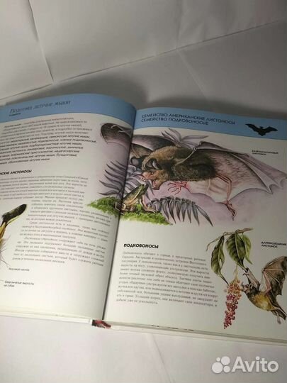 Полная энциклопедия животного мира