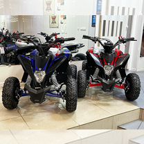 Квадроцикл детский Motax Gekkon 90cc