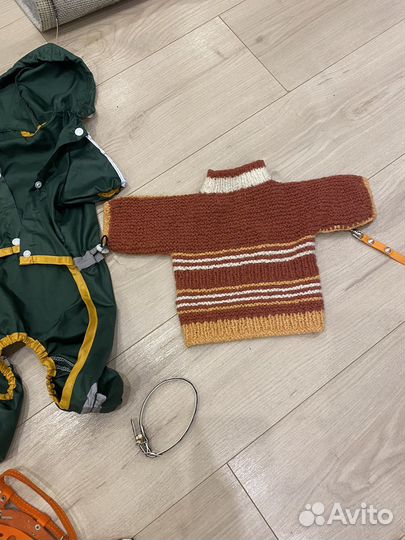 Одежда для маленьких собак бу