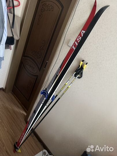 Беговые лыжи tisa sport