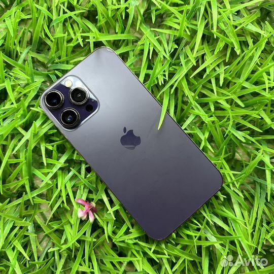 iPhone Xr в корпусе 14 pro