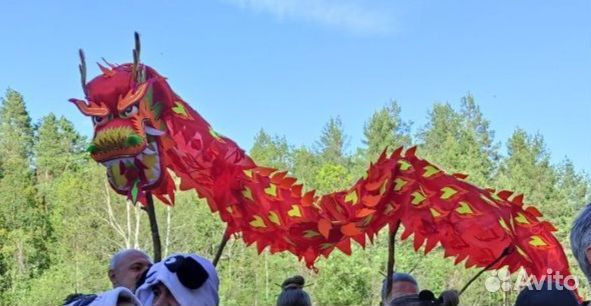 Китайский дракон, на заказ, парад, подвесной