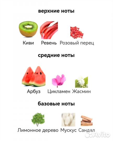 Dolce & Gabbana 3 L'imperatrice