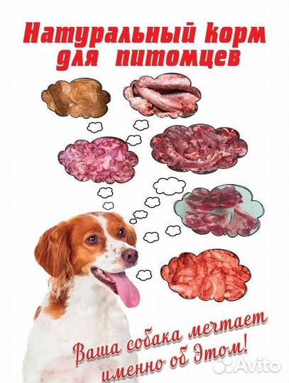 Мясо и субпродукты для собак