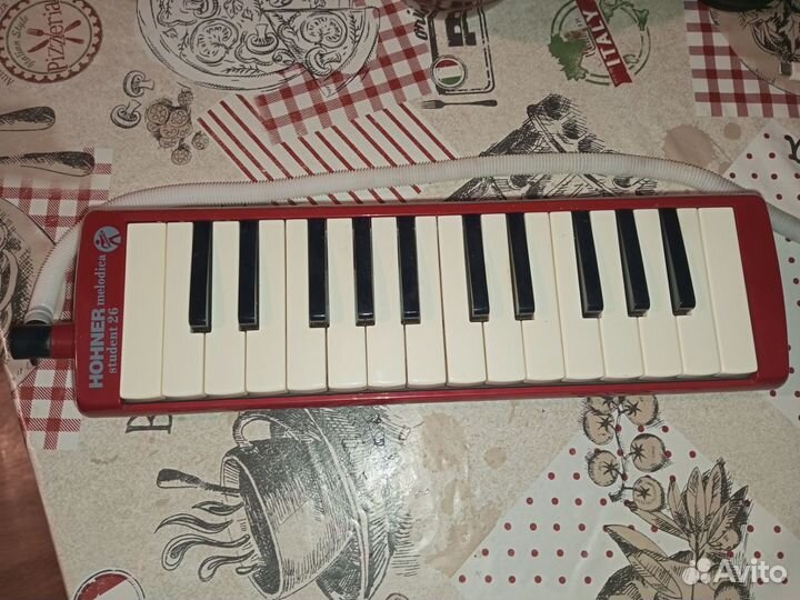 Hohner melodica student 26