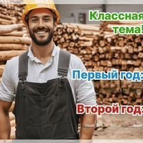 Агентство по деревообработке в городе, Афины