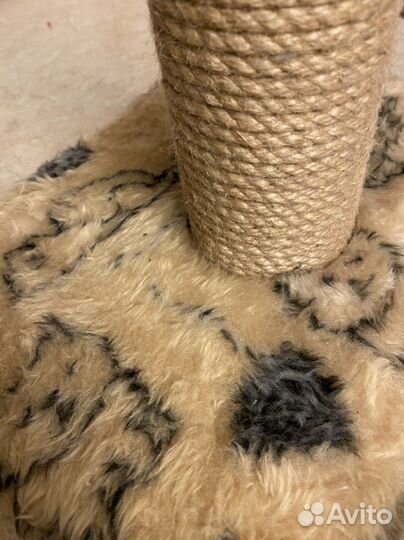 Когтеточка