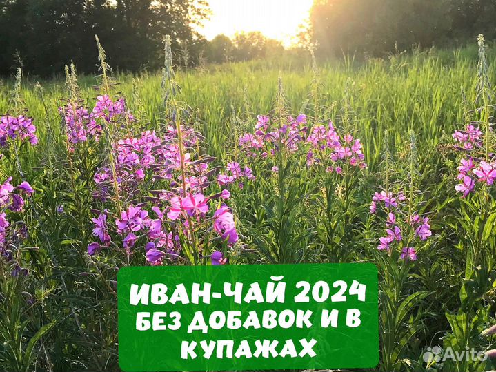 Иван-чай 1000 грамм 2024 с ягодами,мятой и цветами