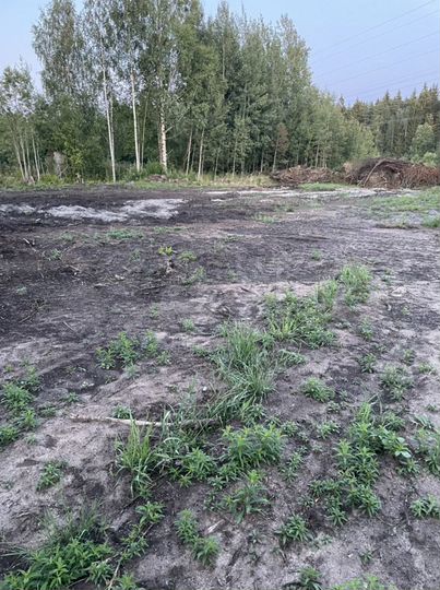 Участок 12 сот. (СНТ, ДНП)