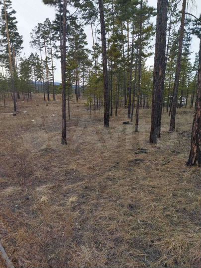 Участок 6 сот. (ИЖС)