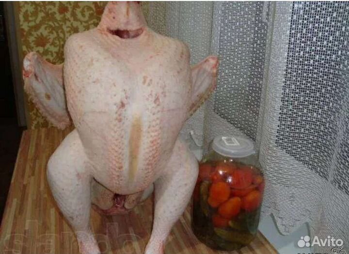 Мясо домашней индейки