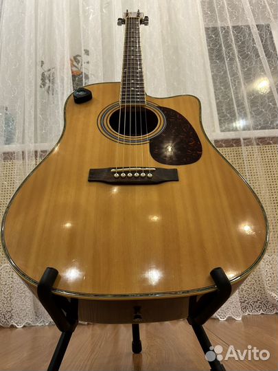 Акустическая гитара Euphony EW-201CN